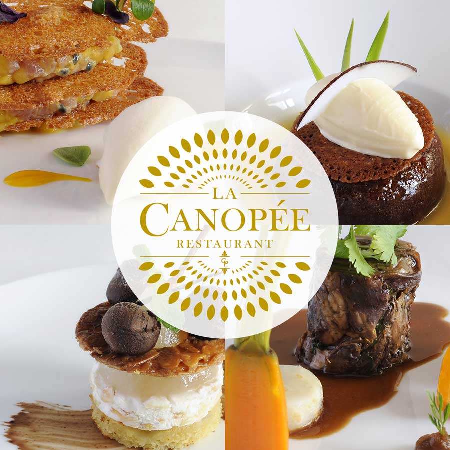 chateau-hotel-restaurant-lacanopee-chateaudepondres-gard-herault-villevieille-occitanie-evenement-anniversaire-mariage-seminaire
