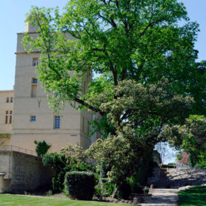 chateau-hotel-restaurant-lacanopee-chateaudepondres-gard-herault-villevieille-occitanie-evenement-anniversaire-mariage-seminaire