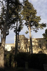 chateau-hotel-restaurant-lacanopee-chateaudepondres-gard-herault-villevieille-occitanie-evenement-anniversaire-mariage-seminaire