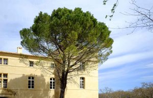 chateau-hotel-restaurant-lacanopee-chateaudepondres-gard-herault-villevieille-occitanie-evenement-anniversaire-mariage-seminaire