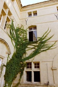 chateau-hotel-restaurant-lacanopee-chateaudepondres-gard-herault-villevieille-occitanie-evenement-anniversaire-mariage-seminaire