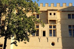 chateau-hotel-restaurant-lacanopee-chateaudepondres-gard-herault-villevieille-occitanie-evenement-anniversaire-mariage-seminaire