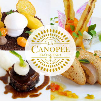 chateau-hotel-restaurant-lacanopee-chateaudepondres-gard-herault-villevieille-occitanie-evenement-anniversaire-mariage-seminaire
